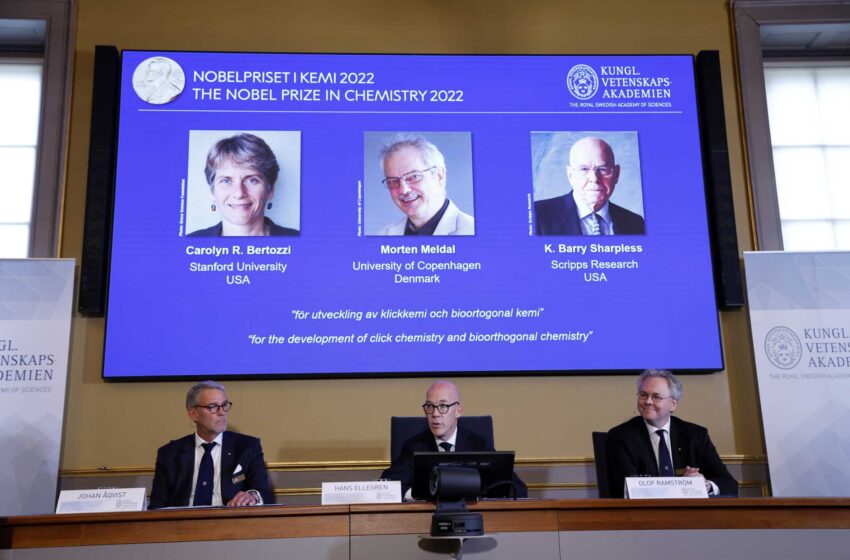  Premio Nobel para 3 químicos que hicieron “clic” en las moléculas