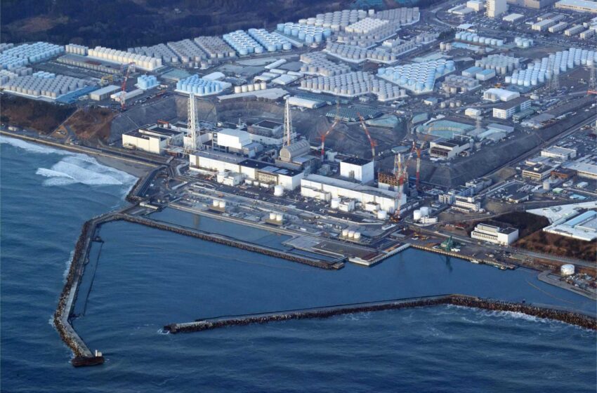  Un experto de la ONU dice que Japón debe hacer más por los evacuados de Fukushima