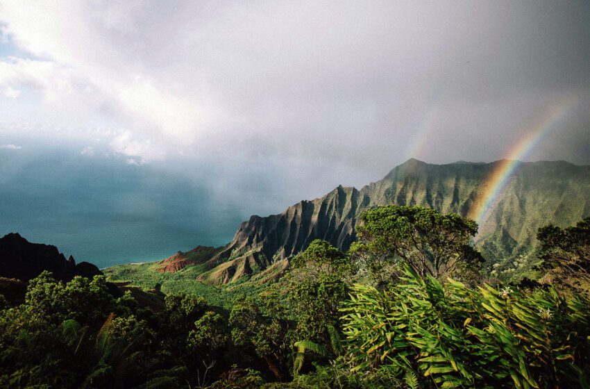  La gira de ‘Lilo & Stitch’ por la isla de Hawái que inspiró la película