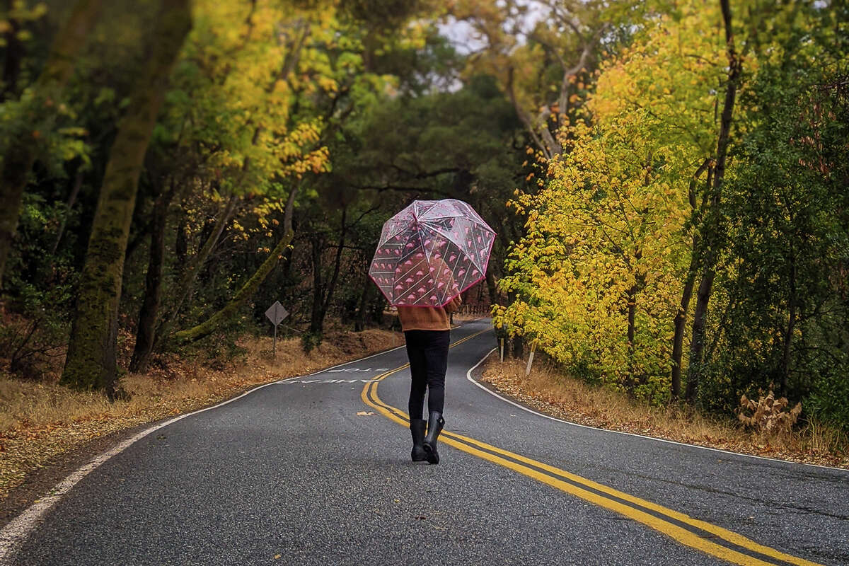 Vishal Mishra encontró un hermoso follaje de otoño a lo largo de Stevens Canyon Road en Cupertino.