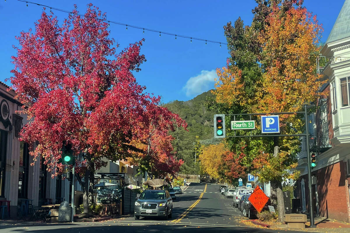 Muchos árboles en el centro de San Rafael se convierten en un arcoíris de colores otoñales en noviembre.