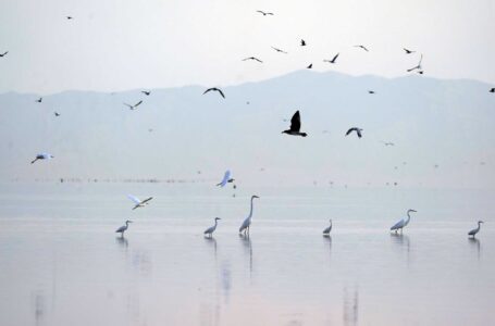 El lago de California, que se está secando, recibirá 250 millones de dólares en fondos para la sequía en EE.UU.