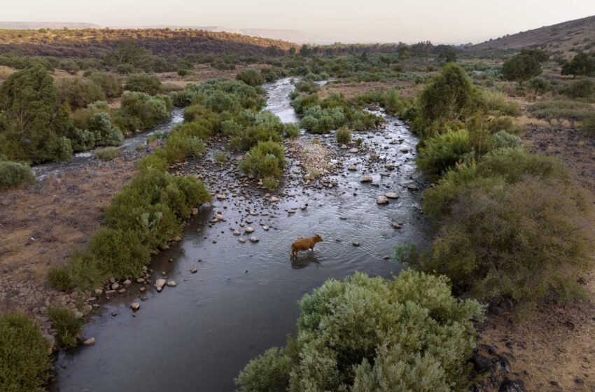  Israel y Jordania acuerdan asociarse para salvar el río Jordán