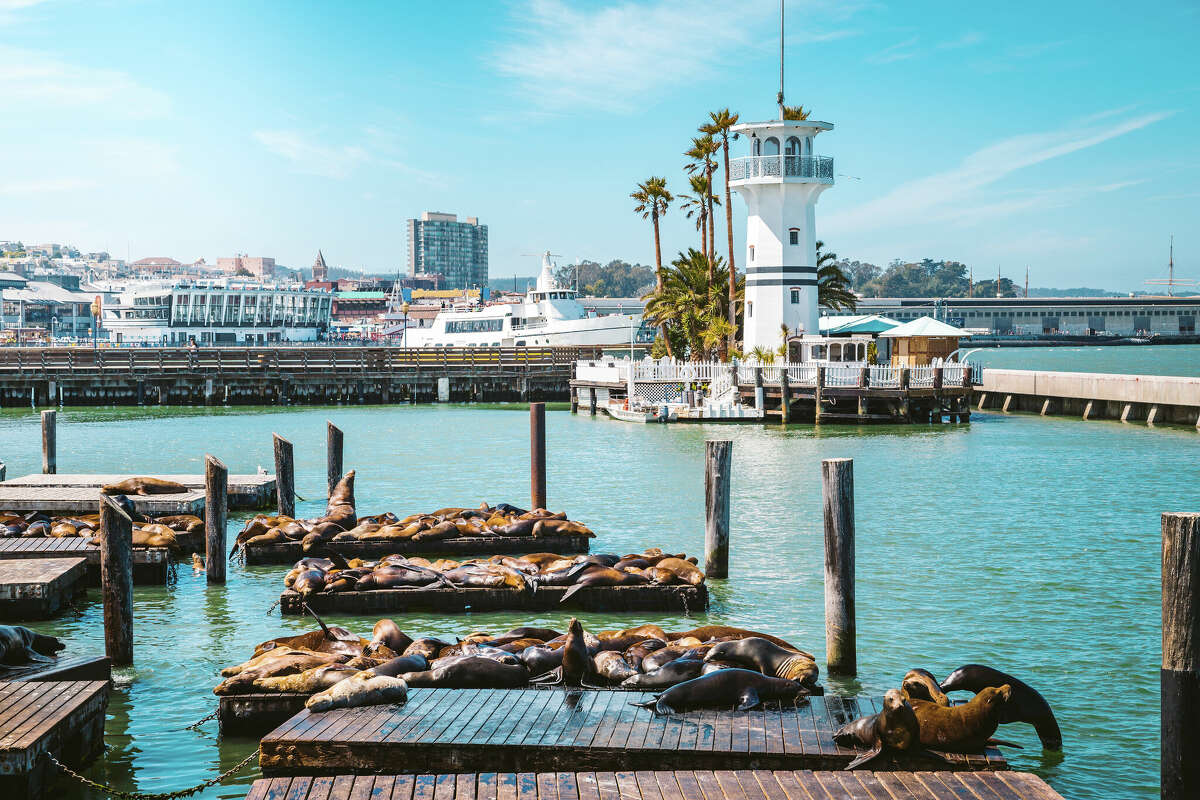 Una hermosa vista del histórico PIER 39 con sus famosos leones marinos, distrito de Fisherman's Wharf, San Francisco.