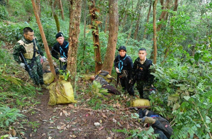  La patrulla fronteriza tailandesa mata a 15 presuntos narcotraficantes