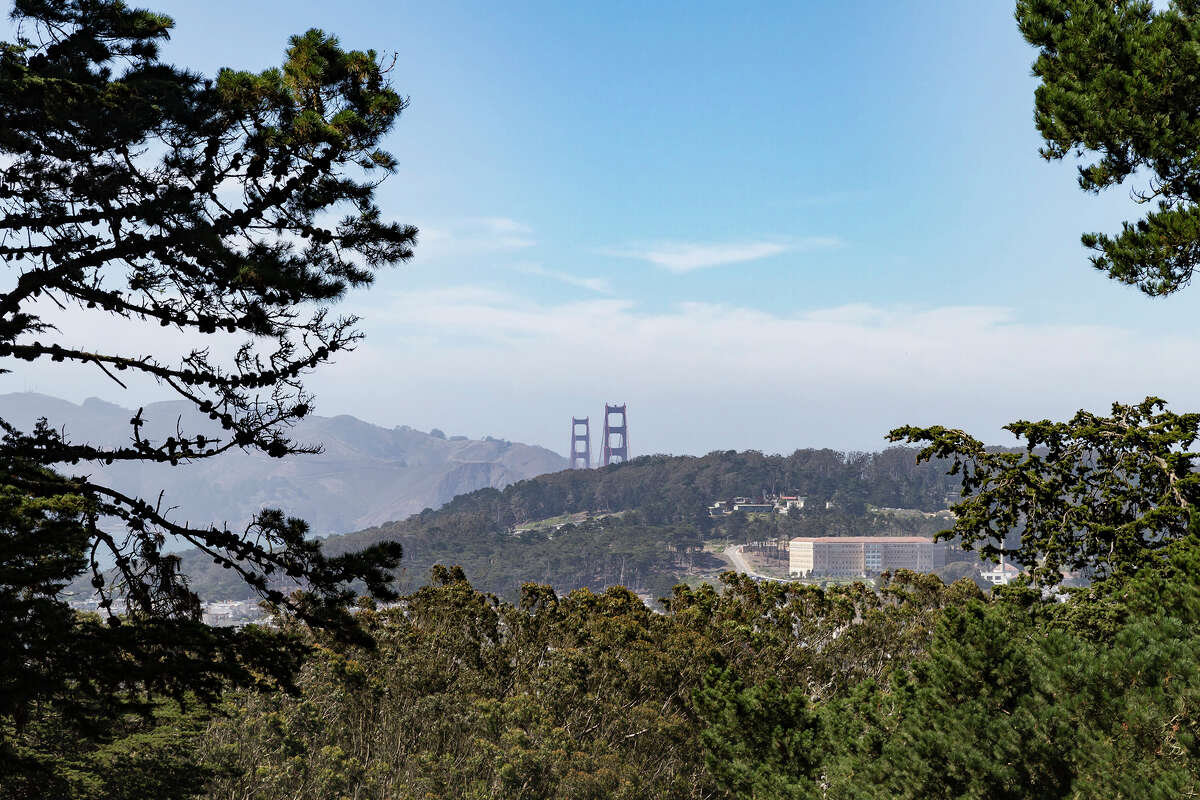 Siga los senderos de Buena Vista Park hasta la cima y sea recompensado con impresionantes vistas de la ciudad de San Francisco. 