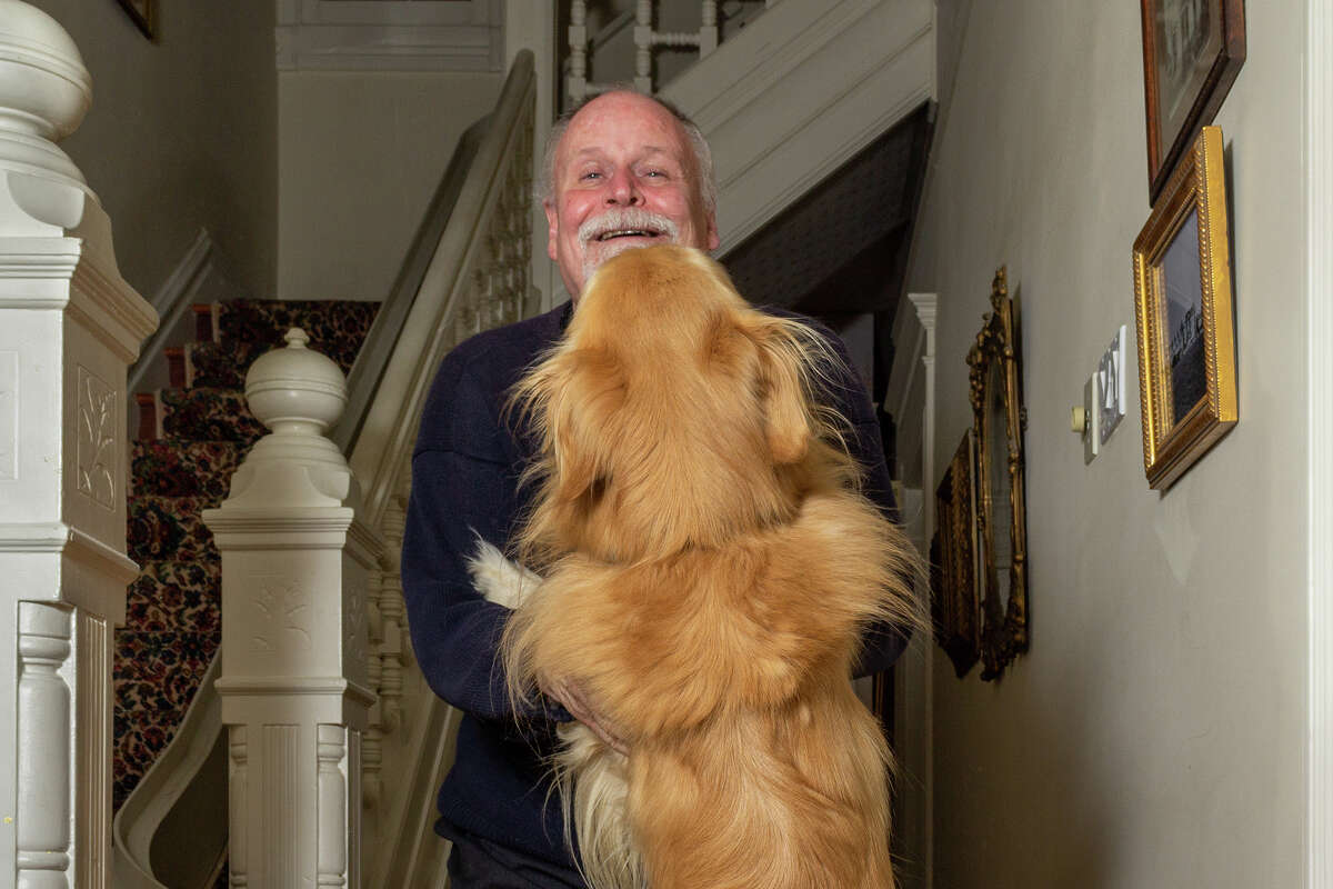 Torbjörn, uno de los dos golden retrievers en 712 Steiner St., salta para saludar al guía turístico y propietario de la casa histórica el jueves 22 de diciembre de 2022 por la noche.