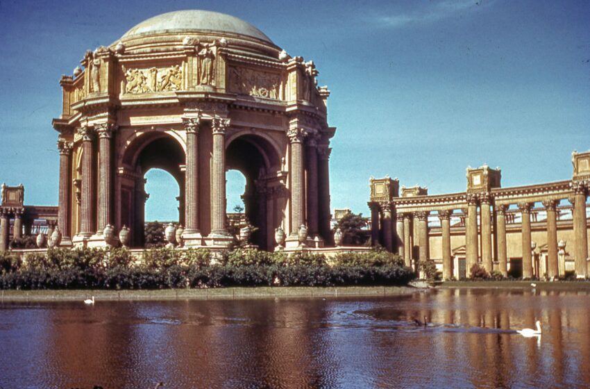  Blanche the swan, un accesorio del Palacio de Bellas Artes de SF, muere a los 28