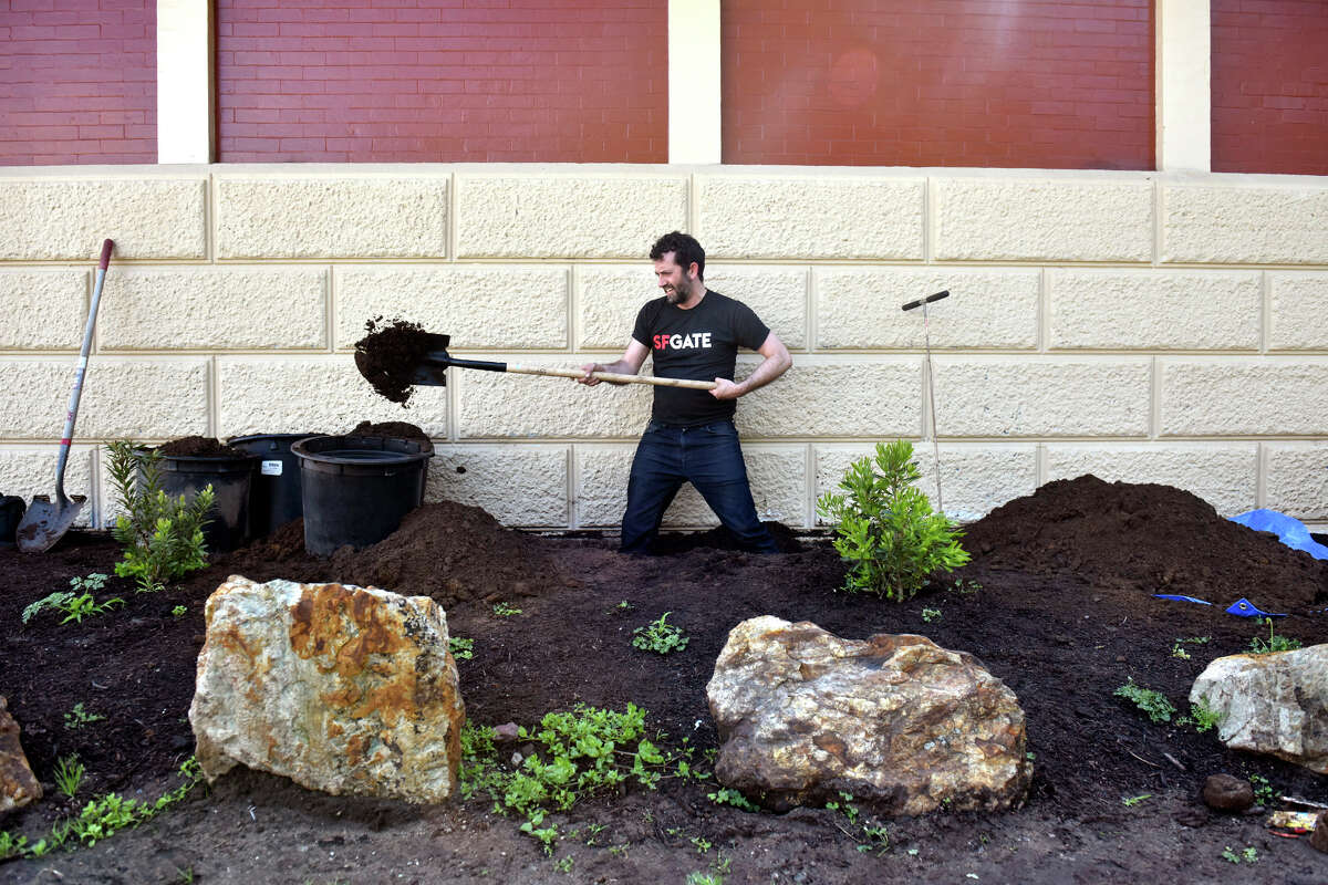 El editor de cultura de SFGATE, Dan Gentile, excava en busca de un tesoro enterrado en el Golden Gate Park, junto al refugio ferroviario de Powell Street.