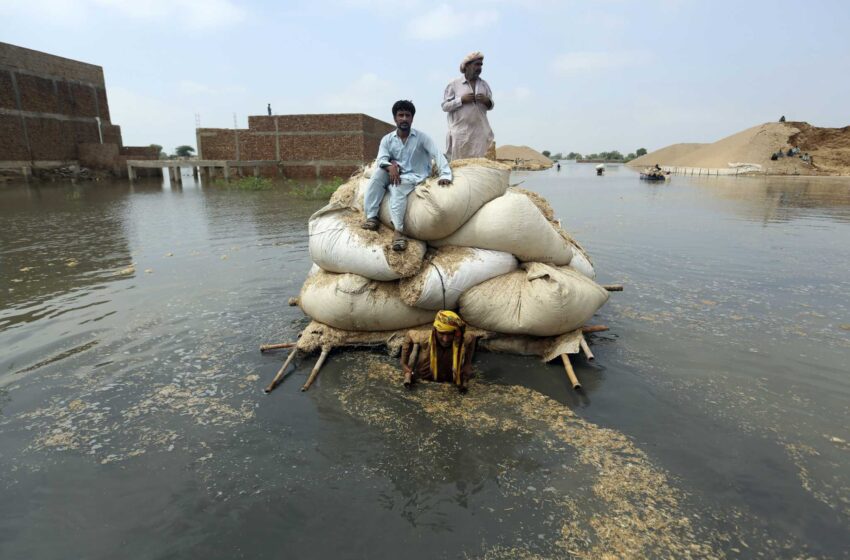  Pakistán, afectado por las inundaciones, pedirá 16.000 millones de dólares en la conferencia de la próxima semana