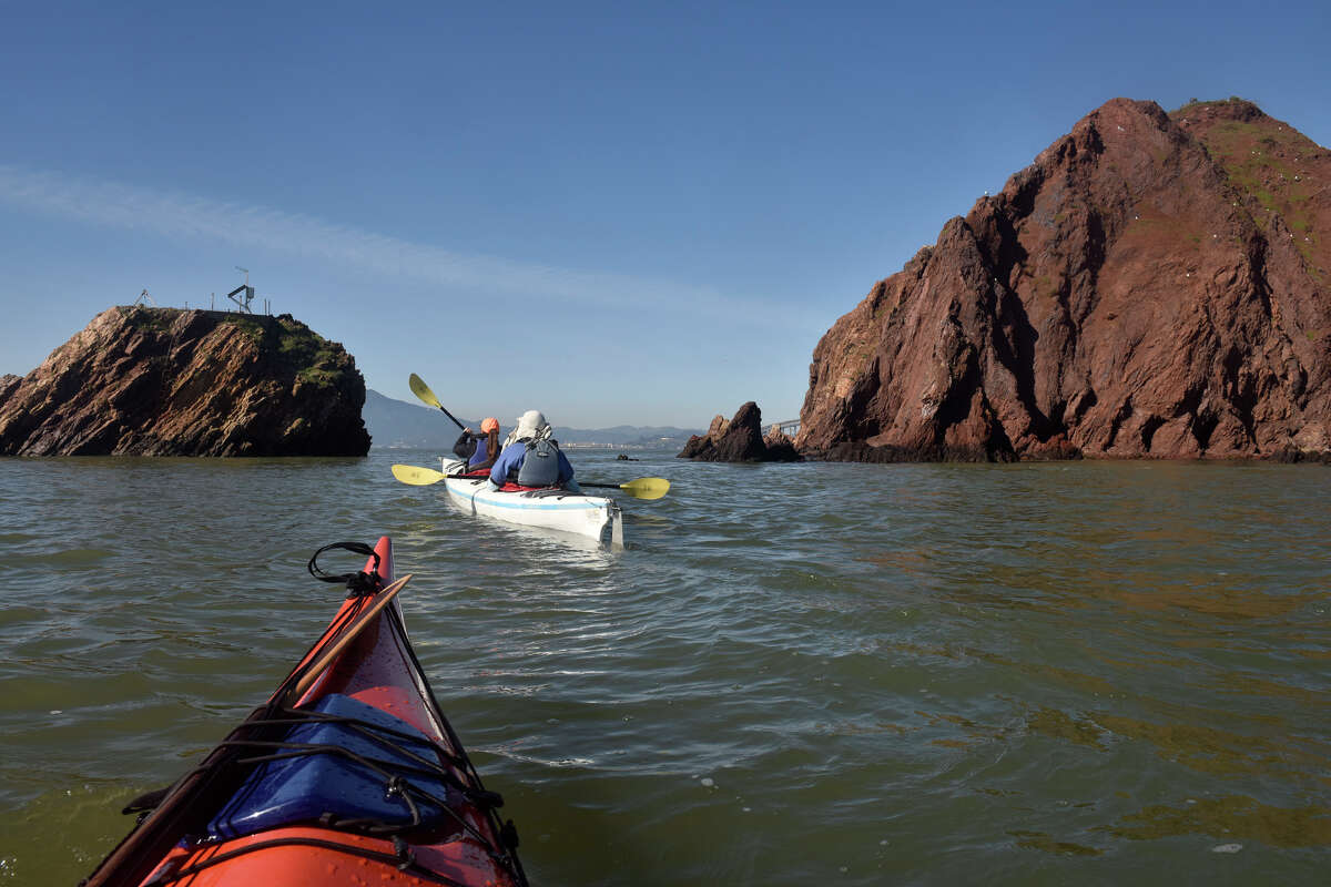 La editora de SFGATE, Tessa McLean, al frente, rema hacia Red Rock Island con Keith Miller, propietario de California Canoe & Kayak y miembro del club Bay Area Sea Kayaker (BASK), el miércoles 8 de febrero de 2023.