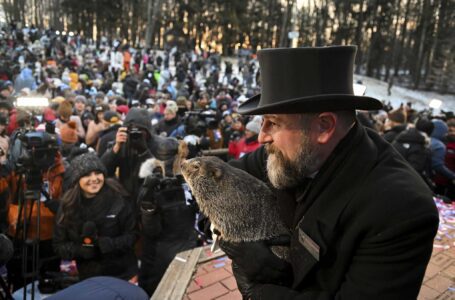 La predicción de Phil para el Día de la Marmota: 6 semanas más de invierno