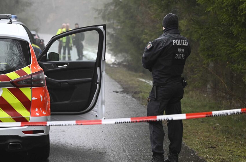  Policía alemana: 2 niños detenidos por el asesinato de una niña