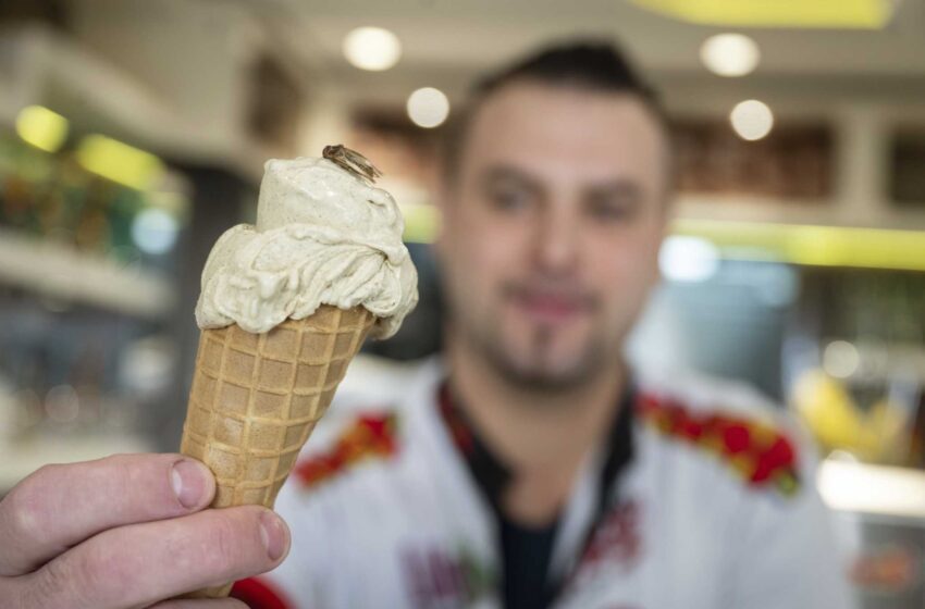  Una heladería alemana ofrece bolas con sabor a grillo