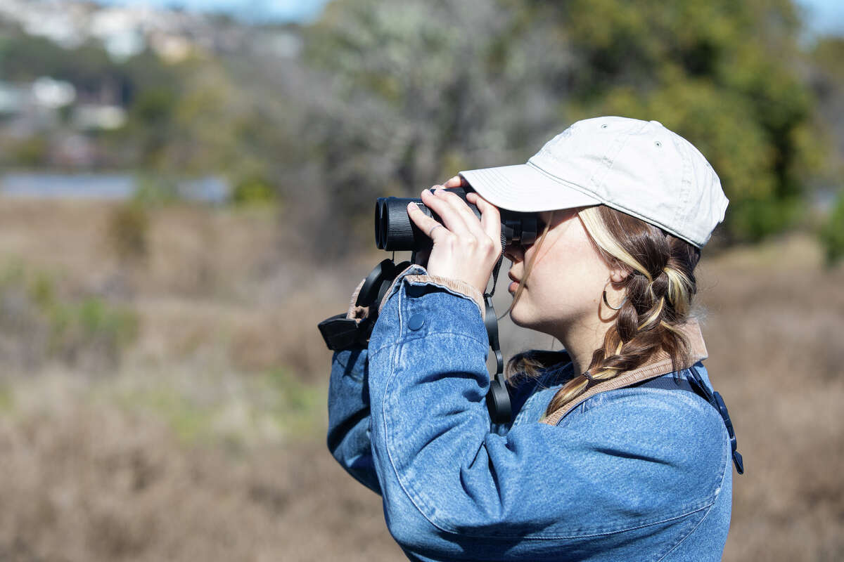 Emily Ohman, de la Sociedad Audubon, usa binoculares para observar aves en la isla Aramburu en Tiburon, California, el 6 de febrero de 2023. La isla es una reserva de aves.