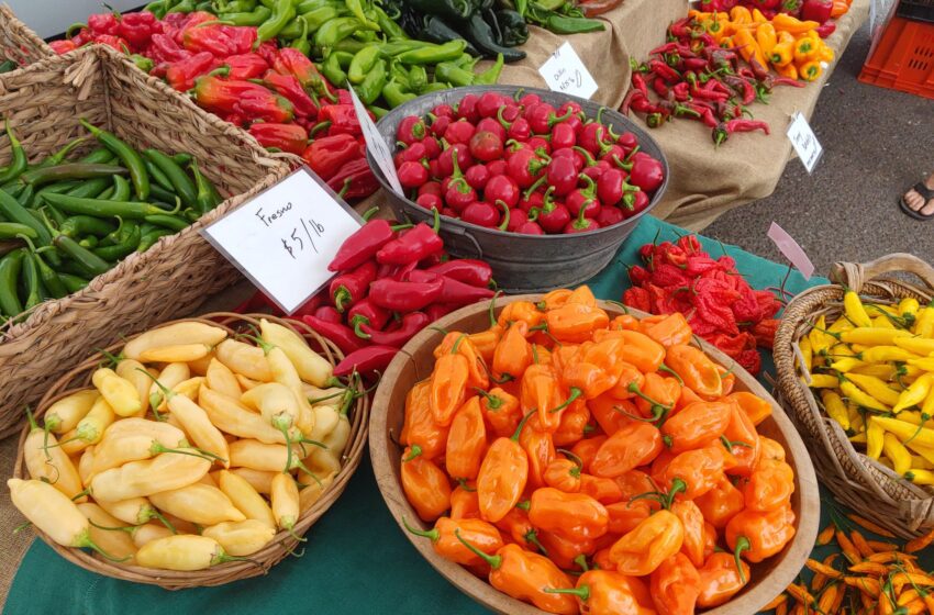  Estos mercados de agricultores del Área de la Bahía ofrecen más que comida excelente