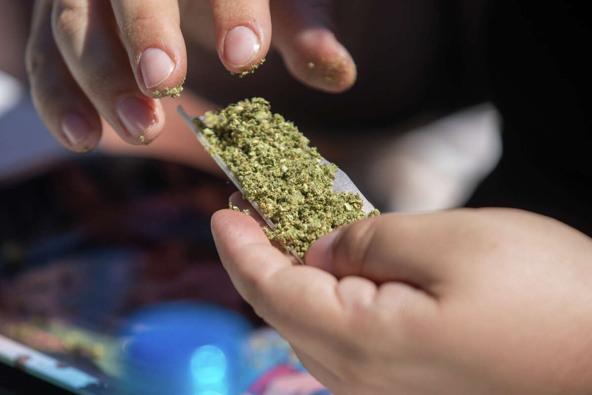 Un juez hace rodar un poco de hierba durante la competencia de cannabis King of Z Hill ”en 420 Hippy Hill en Golden Gate Park en San Francisco, California, el 20 de abril de 2023.