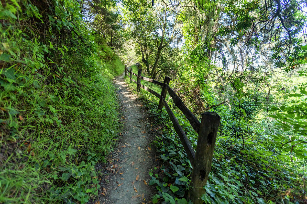 El Dipsea Trail pasa a través de la sombra y la luz, barrancos y colinas, en toda su longitud. 