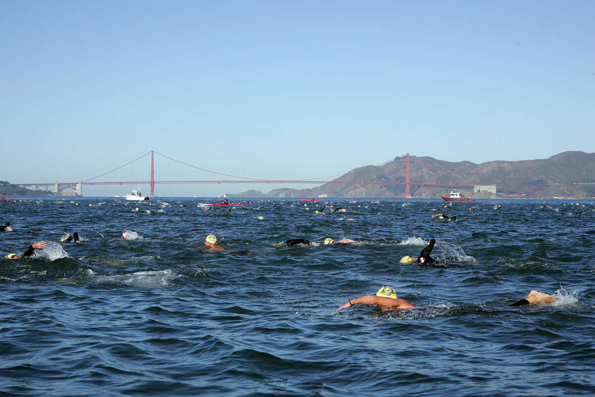 Los nadadores nadan más allá del puente Golden Gate durante el Alcatraz Invitational Swim