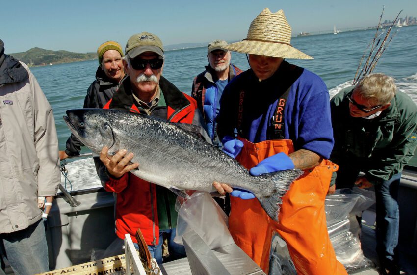  La temporada de pesca de salmón de California se cancela oficialmente, los reguladores votan