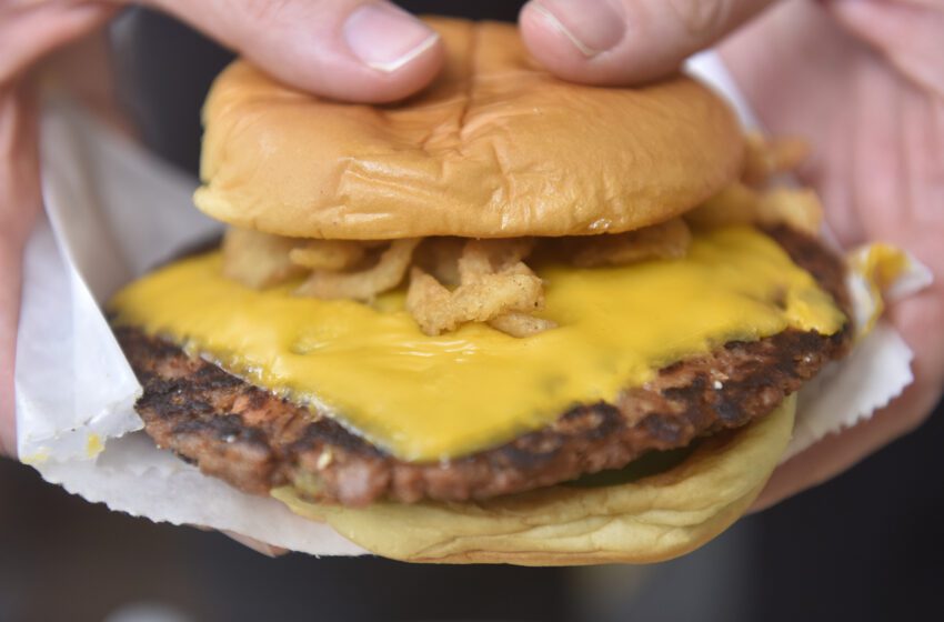  La marea se está volviendo contra Impossible Burger.  La nueva hamburguesa de Shake Shack lo demuestra.