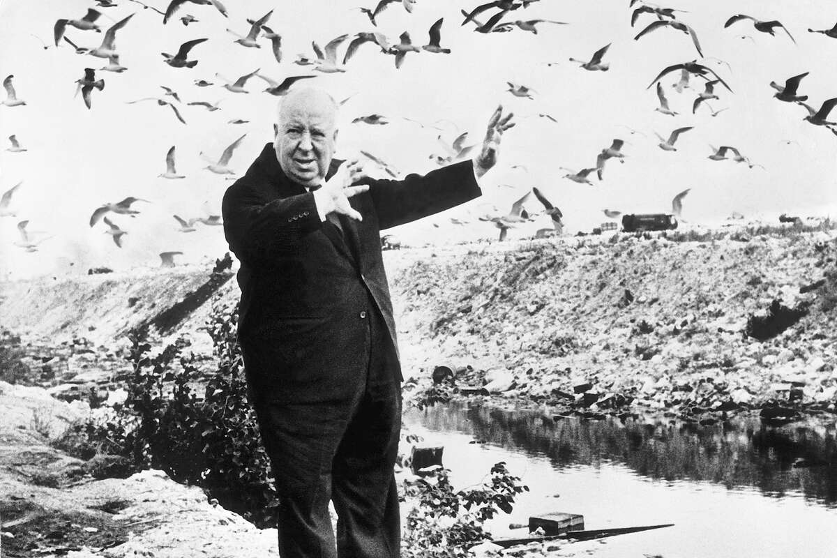 El cineasta Alfred Hitchcock rodeado de pájaros en una playa de Dinamarca el 2 de octubre de 1966.