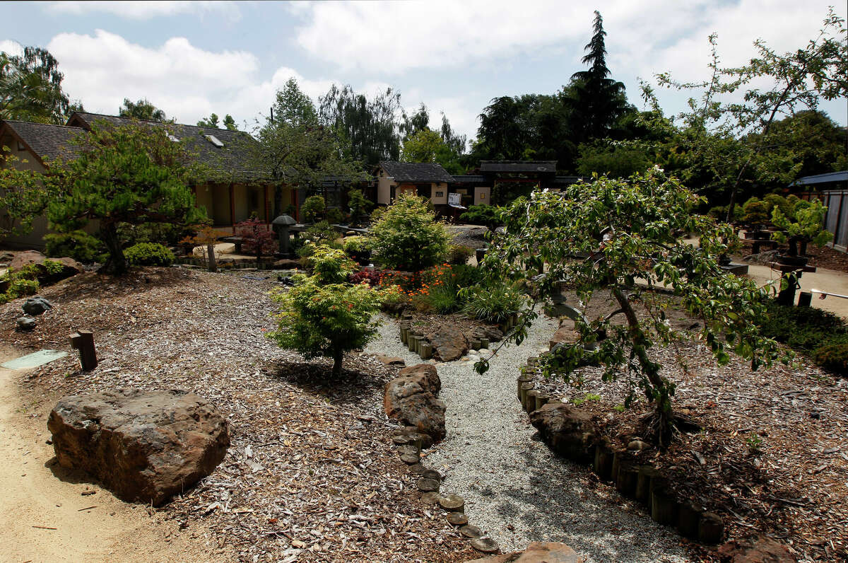 El Bonsai Garden en Lake Merritt en Oakland, California. 