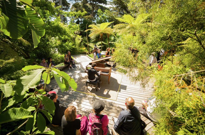  Descubre algo nuevo cada temporada en el Jardín Botánico de San Francisco