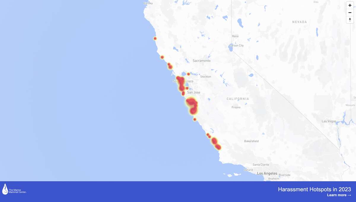Una infografía muestra áreas críticas para el acoso de mamíferos marinos por parte de personas y sus perros a lo largo de la costa de California según datos de 2022 del Centro de Mamíferos Marinos en Sausalito. 