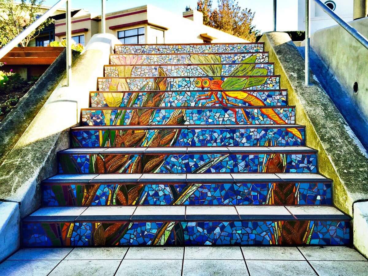 Un insecto curioso que aparece en Hidden Garden Steps en San Francisco, California.