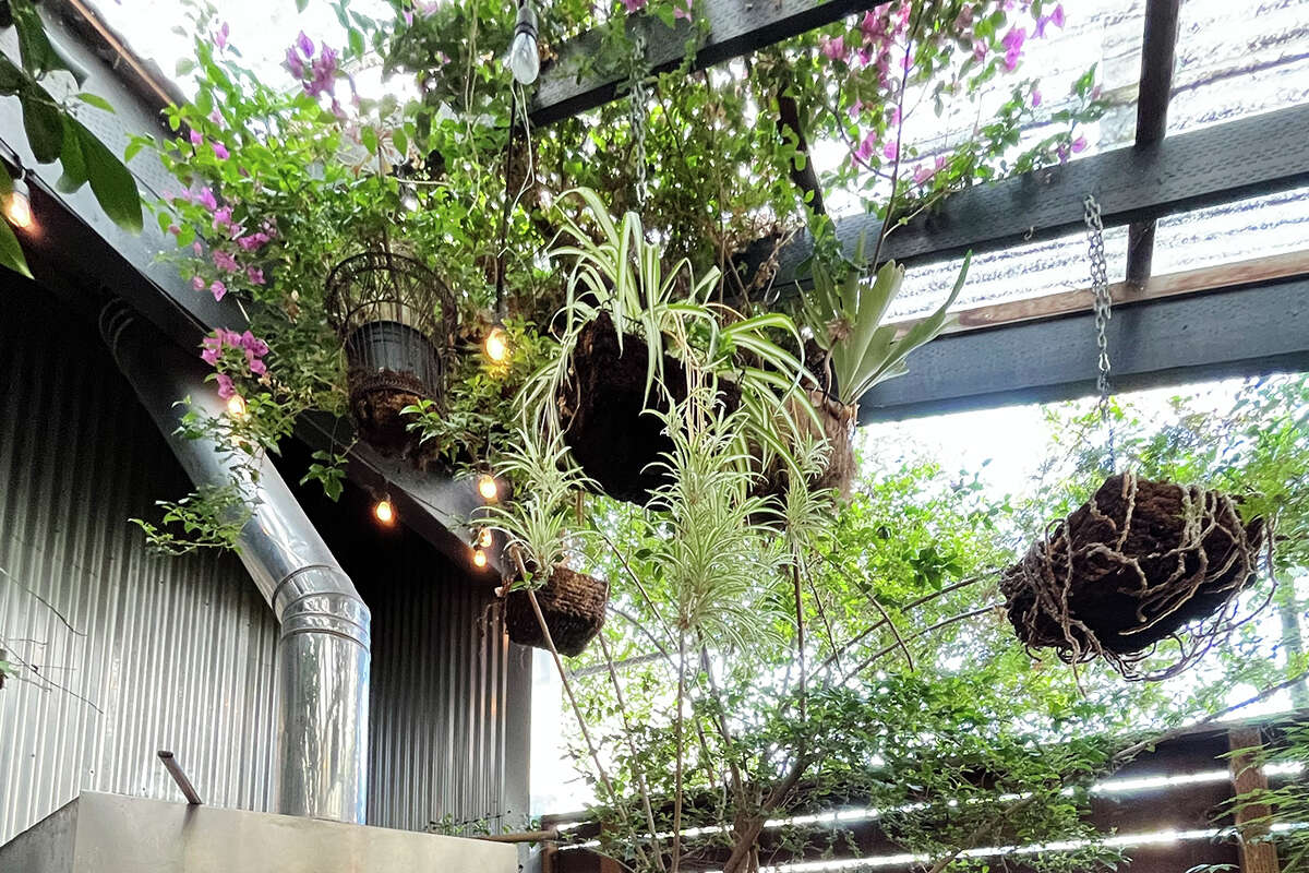 The Secret Garden, un nuevo restaurante abierto tres días a la semana que ocupa el increíble patio al aire libre de Stable Cafe en la Misión.