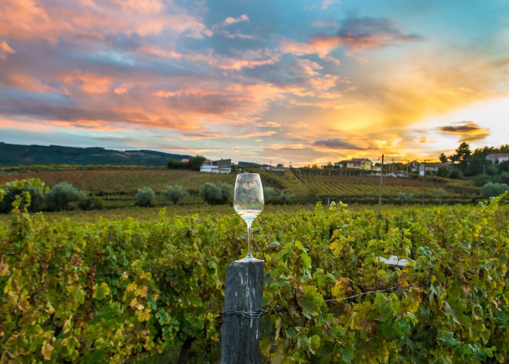 Obtenga acceso privilegiado a grandes bodegas y viñedos con estos tours de vinos de Sonoma