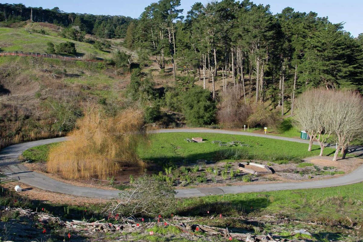 Una vista del manantial El Polín durante los primeros días de los esfuerzos de restauración, alrededor de 2009. La imagen a continuación muestra cuán cubierta de maleza y exuberante se ha vuelto el área.