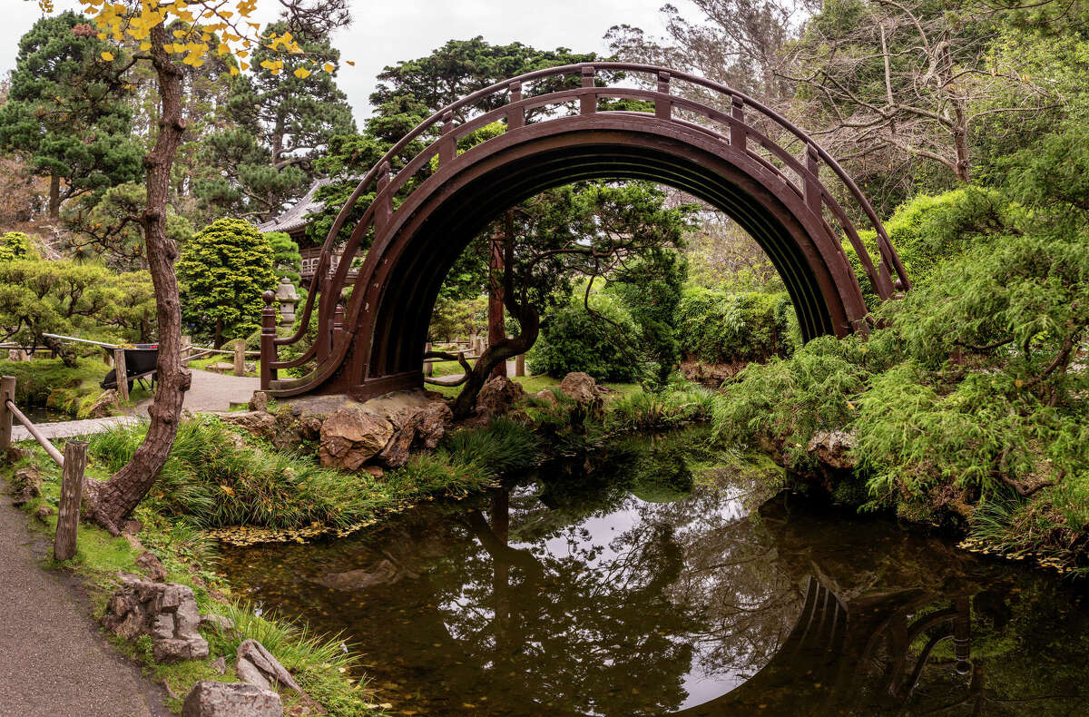 El puente del tambor en el Jardín de Té Japonés en el Parque Golden Gate de San Francisco es amado por los visitantes adultos por su agradable apariencia y por los niños visitantes por el desafío de subir y bajar por su empinado tramo.