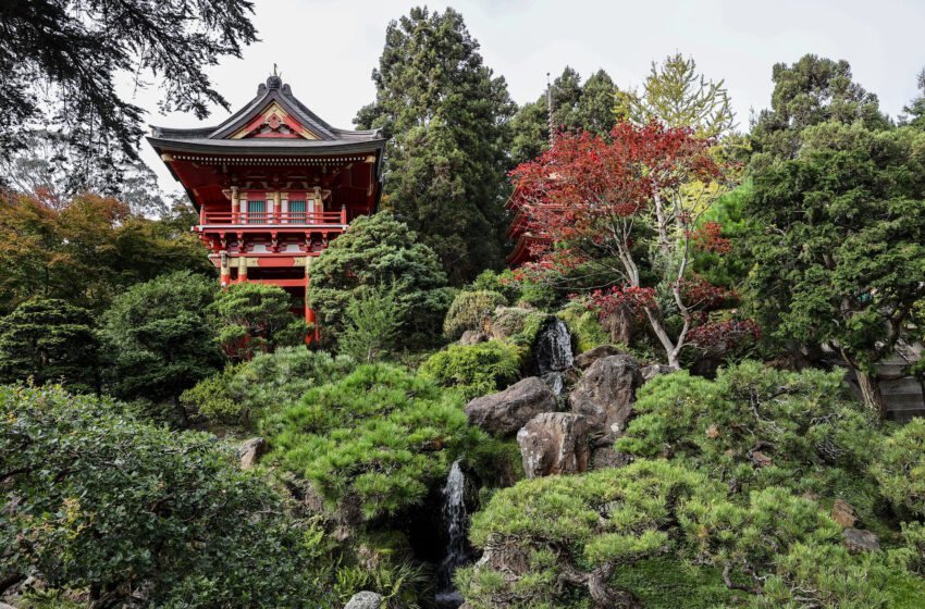  Descubre el Japanese Tea Garden, un rincón más tranquilo del Golden Gate Park