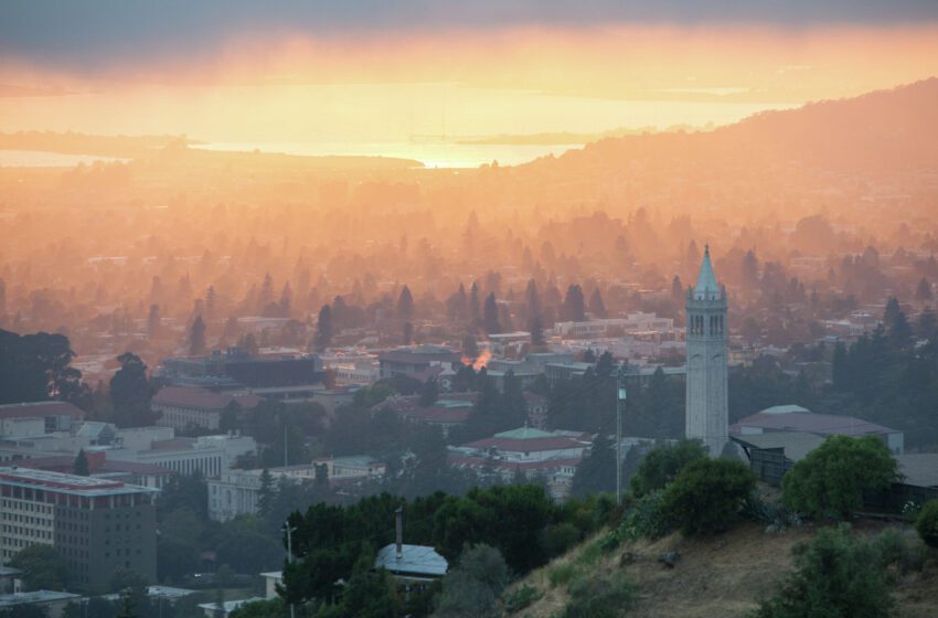  UC Berkeley obtuvo aprobación para cortar acres de árboles para los esfuerzos de mitigación de incendios
