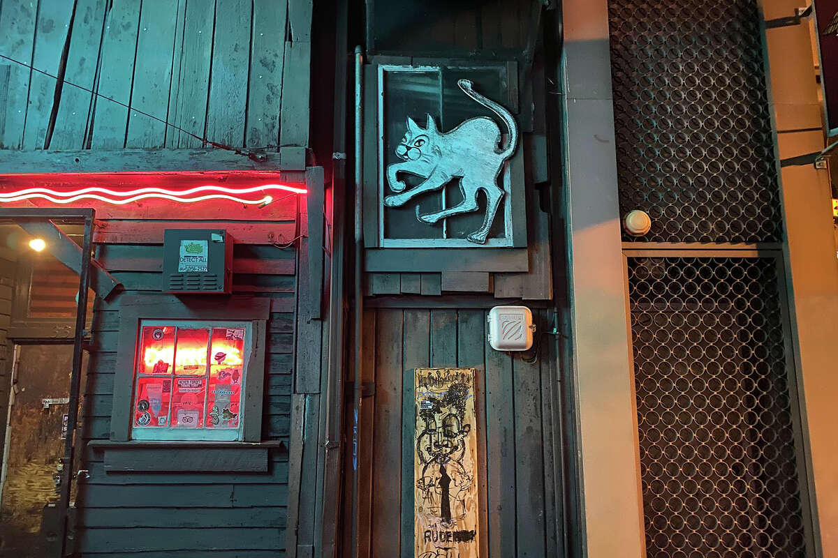Un gato funky cerca de la puerta principal de The Alley.