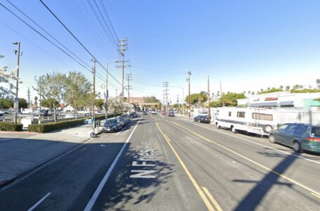 Conductor que se da a la fuga mata a un hombre posiblemente encendiendo fuegos artificiales en la carretera, dice la policía de Los Ángeles